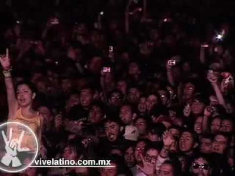 mexico primera division Presentación - Café Tacvba en el Vive Latino 2007 - "Cómo te extraño"