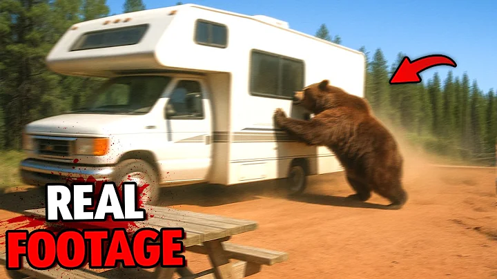 Kodiak Bear Attacks RV Park in Alaska on September 7th, 2025