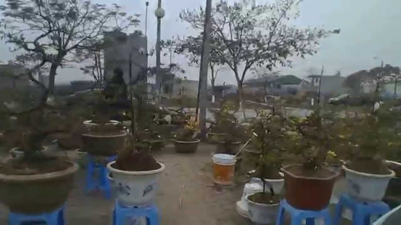 flower market - YouTube