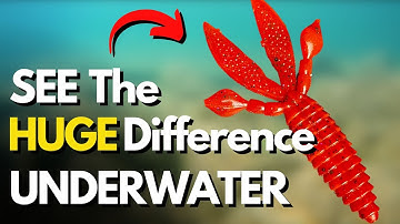 6 Creature Bait Rigging Methods Side-by-Side (Underwater Look)