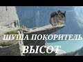 Зайка учится прыгать.  Шуша -  покоритель высоты.