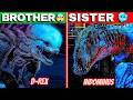 D rex vs indominus rex | Jurassic world rebirth | Distortus rex