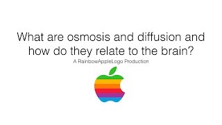 What are osmosis and diffusion and how do they relate to the brain