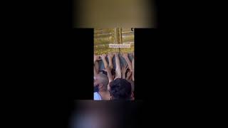 sardar #islam #sardar #warzone #warnews #newsupdates #love #funny #usa #jabiim #jame #raferjohnson