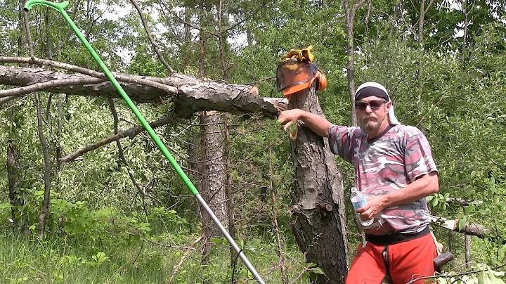Hillside Hinge Cutting for Deer Bedding