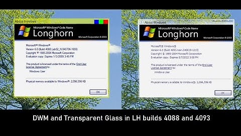 .NET version of DWM in Windows Longhorn builds 4088 and 4093