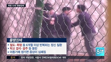 [TJB뉴스] 10대 폭행 사건..
