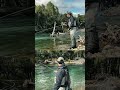 Video completo en el canal! Pasa a mirarlo! #patagonia #pesca #fishing #fishhead #fish