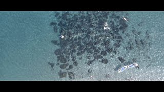 Spot Playas Vélez-Málaga 2022