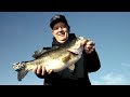 2026 Progressive Bassmaster Elite Series - Day 3 - LIVE CAST -  St Lawrence River, NY