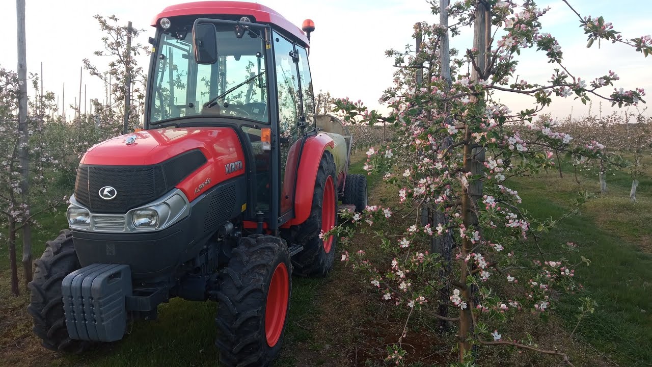 Oprysk w sadzie w trakcie kwitnienia. Nocne pryskanie sadu Orchard spraying #filmsadowniczy