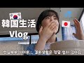 【韓国生活/Vlog】 日韓夫婦の離婚率が高すぎる件🇰🇷🇯🇵 結婚生活は甘くないよね... | 韓国のニトリで大興奮の日本人😂 【日韓夫婦/한일부부/日韓カップル/한일커플/韓国在住日本人】