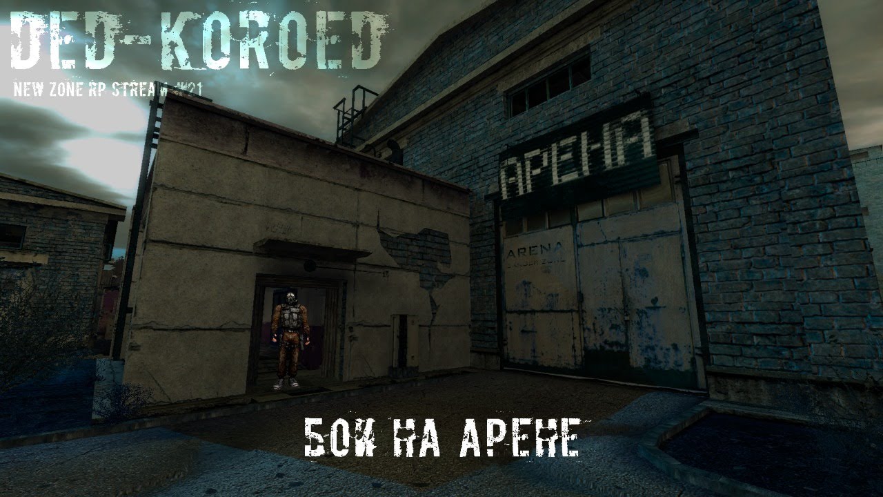 NEW ZONE RP SERVER | ПРИКЛЮЧЕНИЯ БОРЬКИ ЛОКОМОТИВА | БОИ НА АРЕНЕ | ДЕД КОРОЕД | Dayz #21
