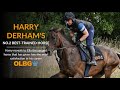 Harry Derham names his No.2 best-trained horse in his career
