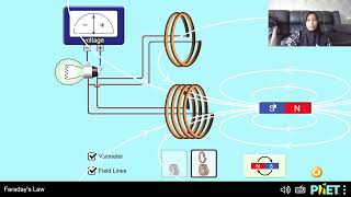 Faraday's Law | Phet Simulation