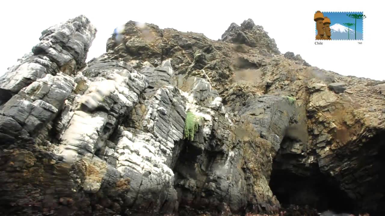 Isla Damas - Chile 365 - turismo en Chile