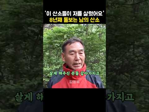 8년째 남의 산소를 돌보는 이유 thumbnail