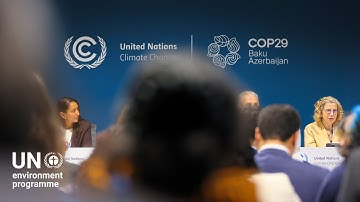 Critical goals for #cop29 | Inger Andersen, UNEP Executive Director