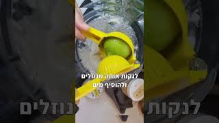 לביבות גבינה טבעוניות עם בלנדר ויטמיקס | מתכון בריא וטעים שמסייע לבעיות עיכול