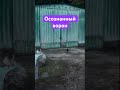 8 октября 2024 г.