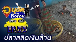 ปลาสลิดเงินล้าน จ.สมุทรสาคร | อนุวัตทั่วไทย | EP 55 | ข่าวช่องวัน | one31