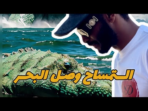 صدمة ظهور التماسيح في البحر