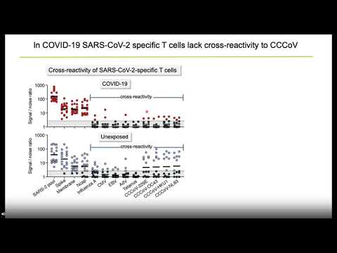 Video: Allogen Vγ9Vδ2 T-cell Som Nytt Potentiellt Immunterapi Läkemedel För Fast Tumör: En Fallstudie För Kolangiokarcinom