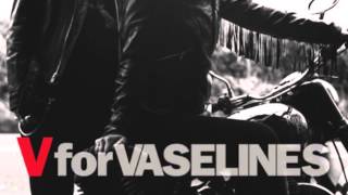 Miniatura del video "THE VASELINES - One Lost Year"