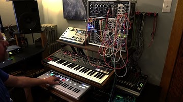 Prophet 6, Elektron RYTM, Plaits, Rings, and Beads OH MY.