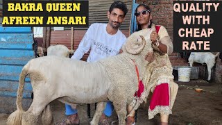 Afreen Ansari Panvel Ki Shaan | Quality With Cheap Rate | Best Results No 1 Quality.