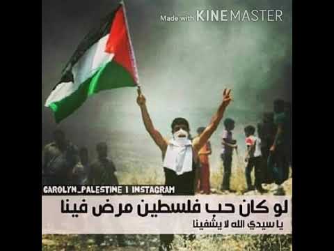 صفقة قرن احمد سلامه