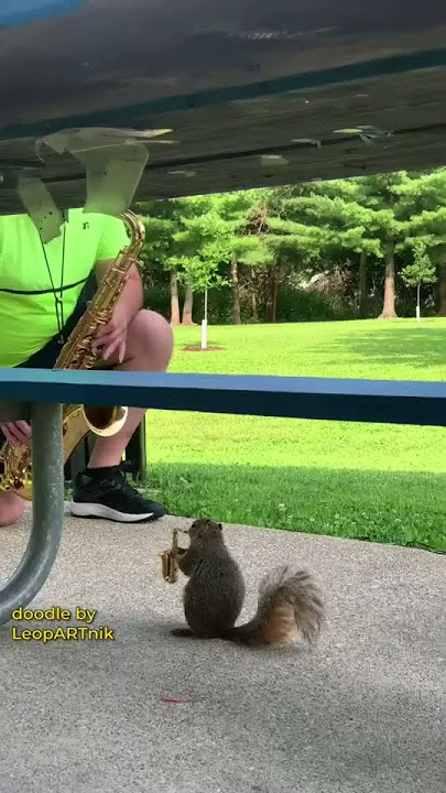 Squirrel playing a trumpet. #shorts#squirrel #trumpet