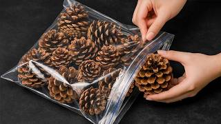 Millions of People Don't Know This! 😱 Put Pine Cones in a Ziploc Bag and Make Money!
