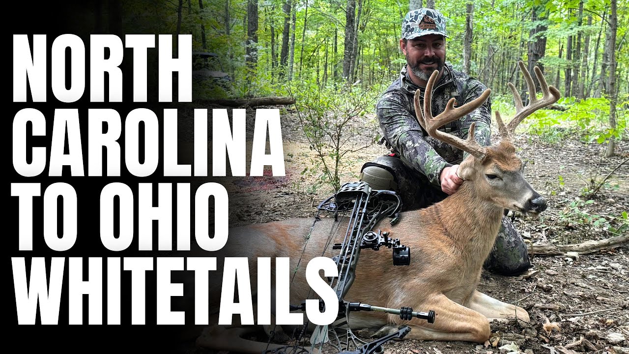 Ohio Whitetail Prep: Reading Wind, Access, and Terrain
