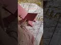 Ш Ш Ш Ш Щ Ш Ш Щ ШЁЩ Ш Щ Ш Ш Щ Ш Щ Ш Ш Щ Щ ШЁШ Ш Щѓ рџ ЌвњЁ Ш Ш Ш Ш Щ Ш Ш Щ ШЁЩ Ш Щ Ш Ш Щ Ш Щ Ш Ш Щ Щ ШЁШ Ш Щѓ рџ ЌвњЁ