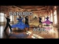 Danubio Azul (Vals) - Danzas del Mundo