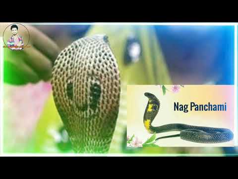 Nag Panchmi Whatsapp Status Video 2020 | नागपंचमी | NagPanchami Status Video | Nagpanchami Status 🙏