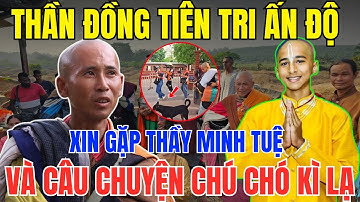 Rúng Động! Thần Đồng Tiên Tri Ấn Độ Bất Ngờ Xin Gặp Thầy Minh Tuệ, Và Câu Chuyện chú chó đen kì lạ!