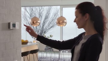 TPOne User Guide: Schedule Settings