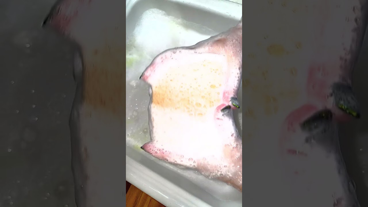 Hot 🔥 water Rinse with Crest -o-mint 💚