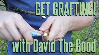 Get Grafting! Instructional with David The Good (learn 3 easy grafts & lose your fear of grafting)