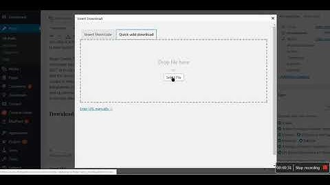 Adding download to page in wordpress