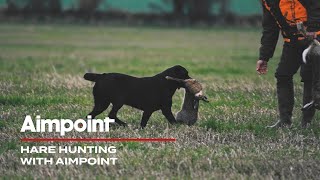 Hare Hunting with Aimpoint