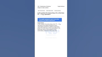 Understanding CLI Construction W P0q0 Explained 12th Maths Stats