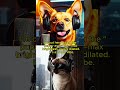 The Tail End Begging 2 0 The Glaze & The Graze #TheTailEnd #PetPodcast #GenZHumor #DogVibes