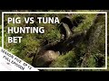 Hunting Aotearoa Series 5 EP14 Pig and Tuna hunting