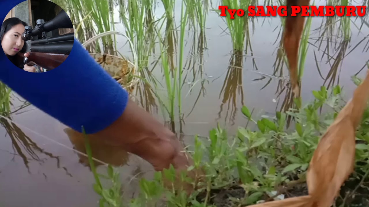 Mancing belut di spot baru yang banjir 