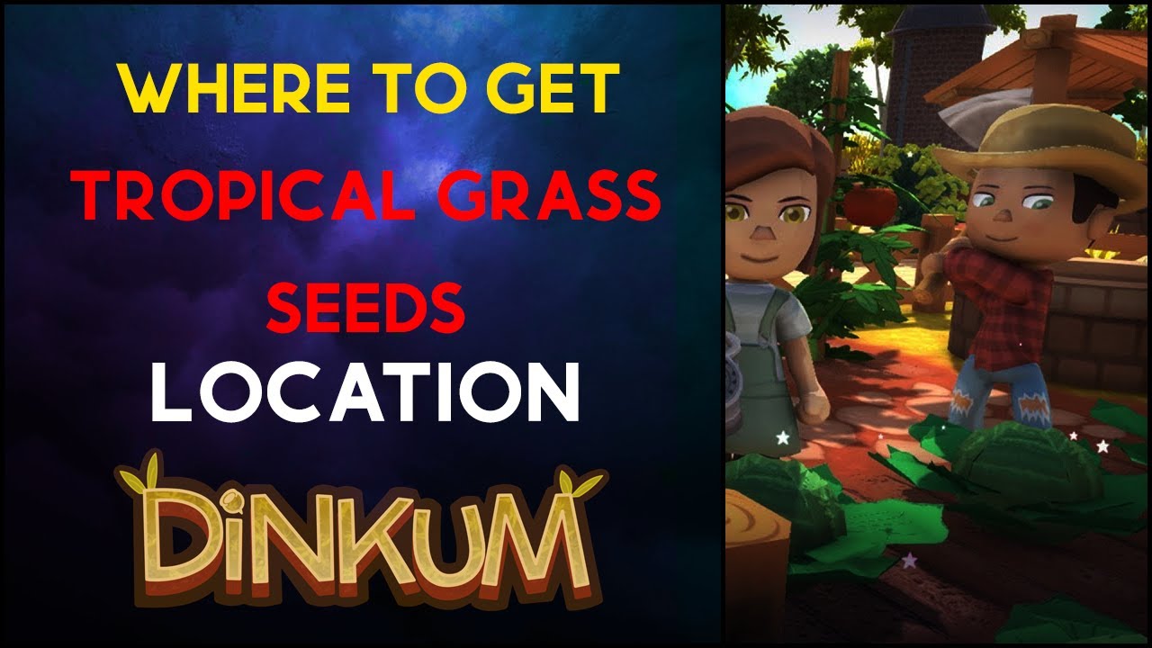 Where To Get Tropical Grass Seeds Dinkum YouTube