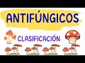 ANTIFÚNGICOS - Clasificación De Los Fármacos Antifúngicos