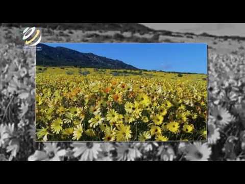 Смотреть клип Louis Armstrong Смотреть клип Louis Armstrong